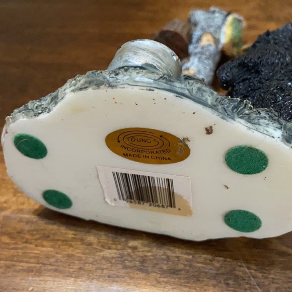 Young Inc Bear Checking the Campsite - Picture 5 of 5